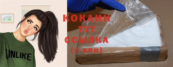 твердый Лиски