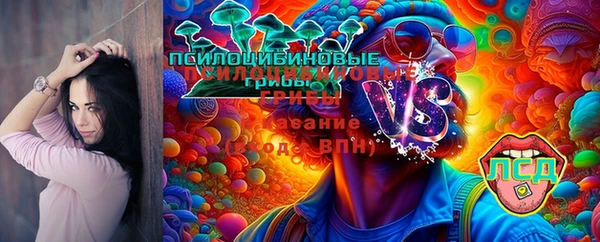 ALPHA PVP Лихославль