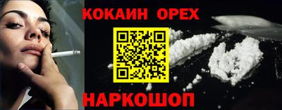 гашик Донской