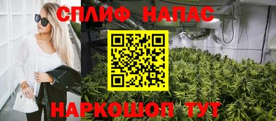 гашик Донской