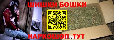 гашик Донской