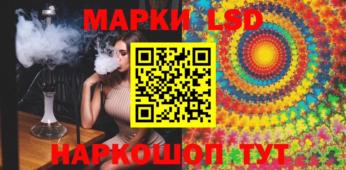 Альфа ПВП Череповец