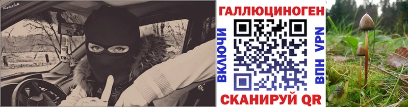 Галлюциногенные грибы мицелий  как найти закладки  Череповец 