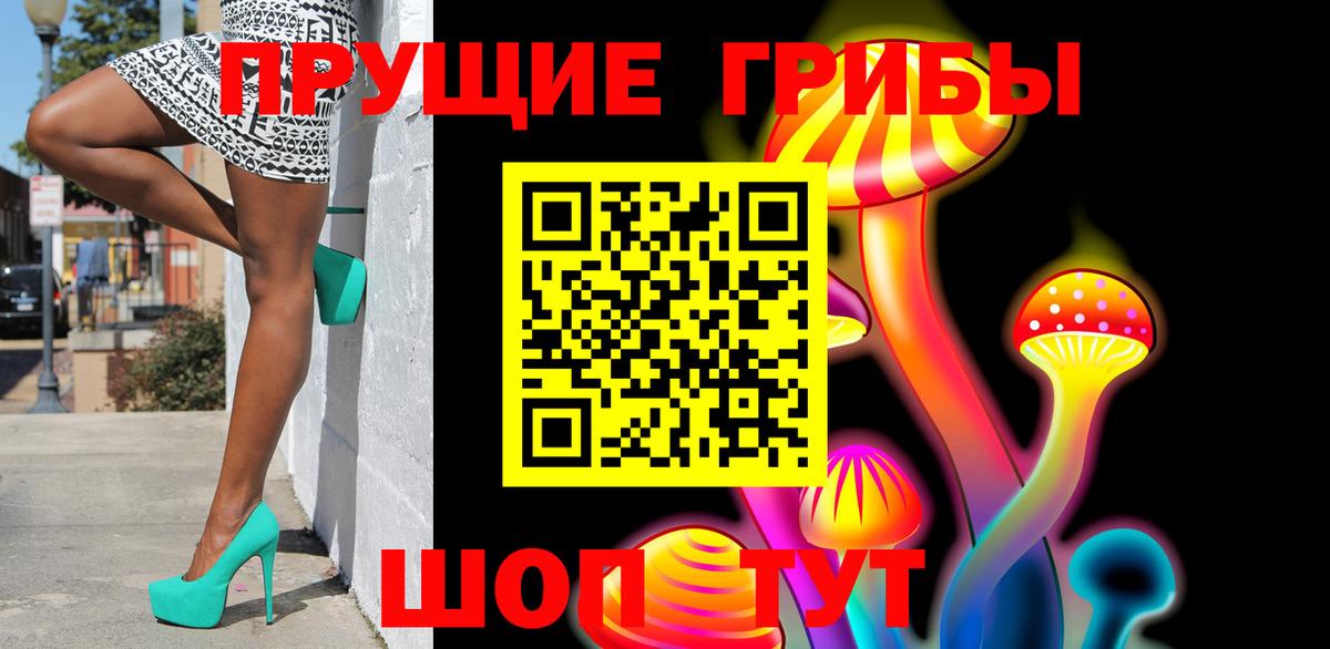 Череповец  Псилоцибиновые грибы Psilocybine cubensis  Вход с VPN 