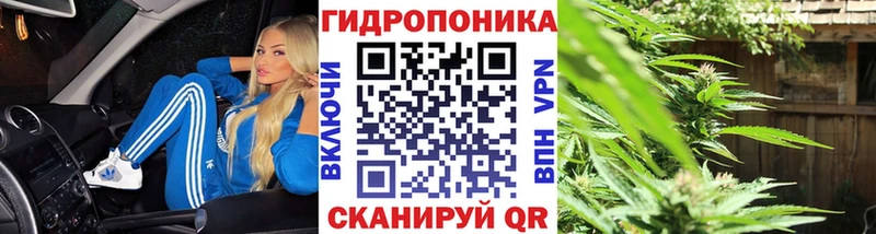 Бошки марихуана сатива  Череповец 